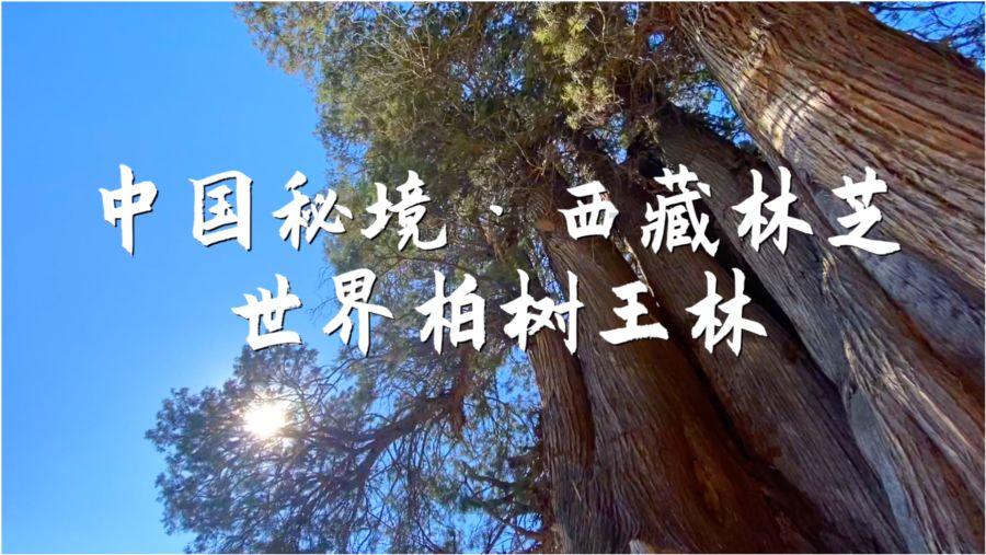 爱的魔力